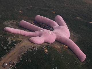 A Big Pink Bunny