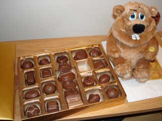 valentines gifts